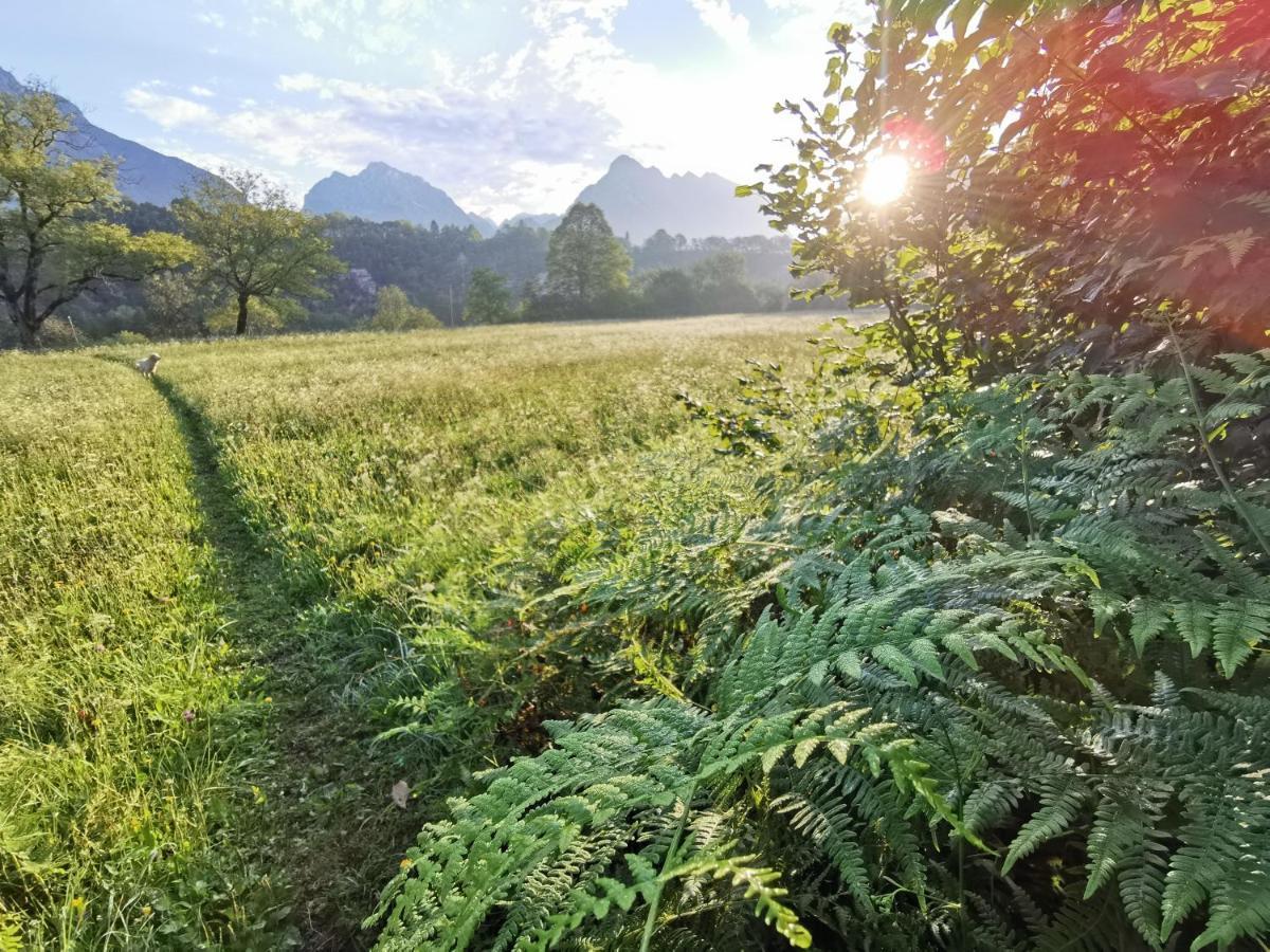 Apartma Miko Bovec Kültér fotó